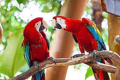 《巫师3：狂猎》网飞DLC将于12月14日上线 免费哟